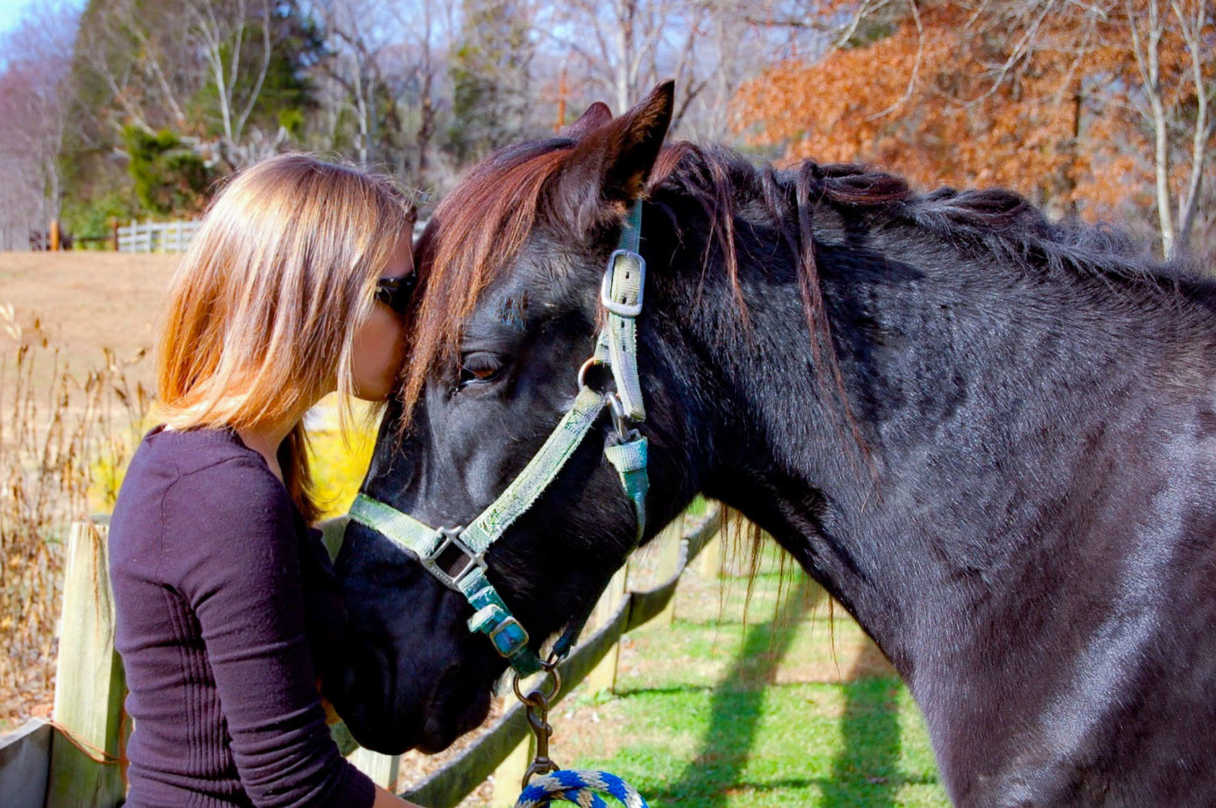 Girl with Black Horse