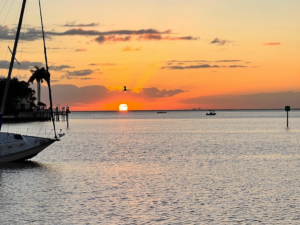 Sunrise from Old Northeast Neighborhood, St Pete