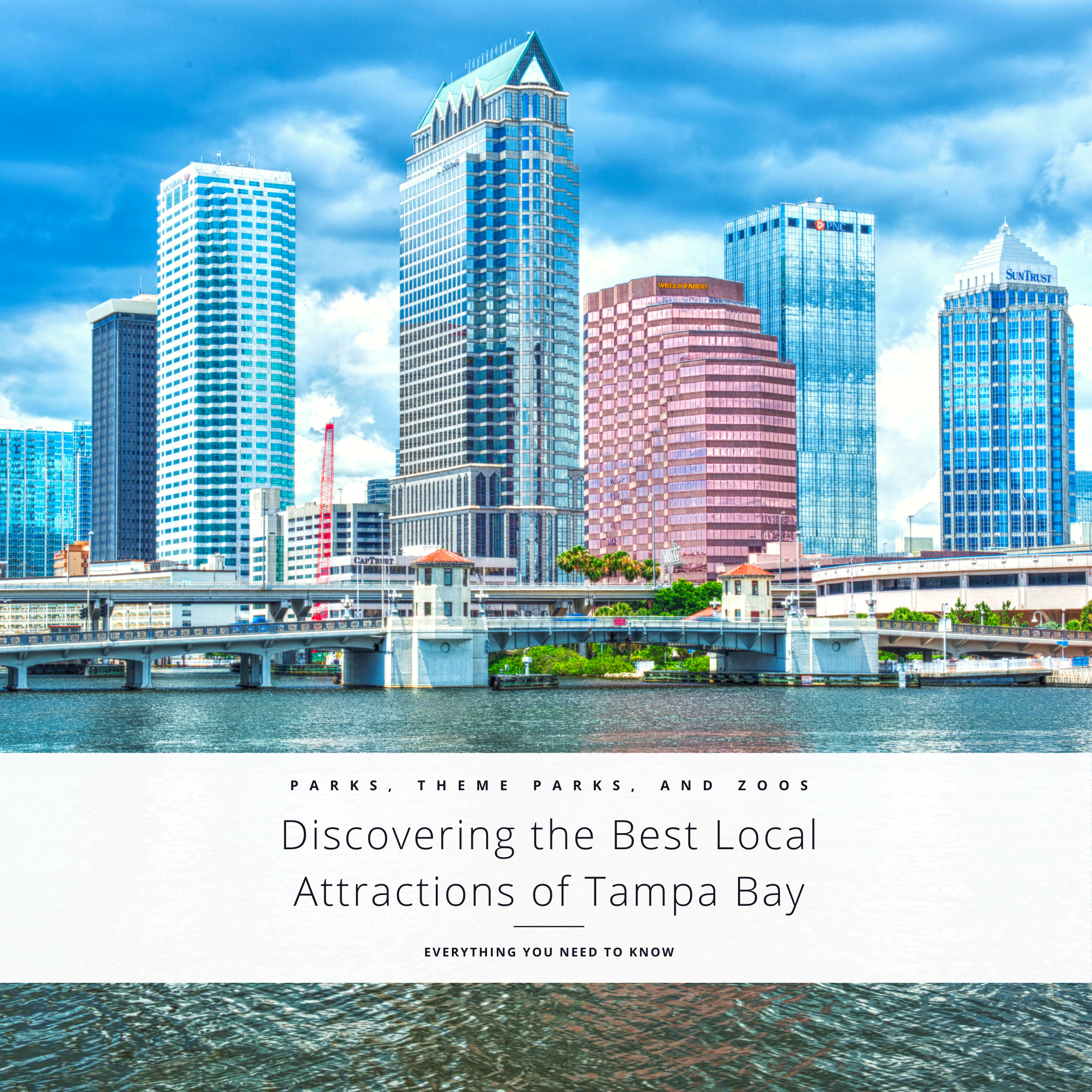 Discovering the Best Local Attractions of Tampa Bay