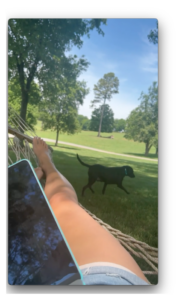 Woman lounging in a hammock with a black lab walking across green pasture at a farm in East Tennessee